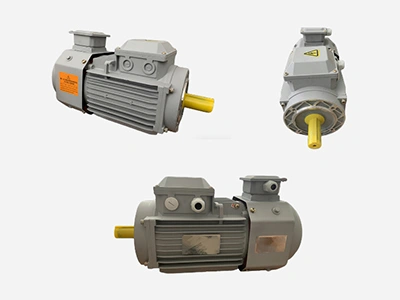 Motor reductor